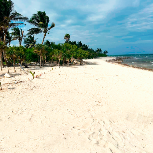 Terrenos en Mahahual en venta frente al mar Terrenos en Mahahual en venta frente al mar